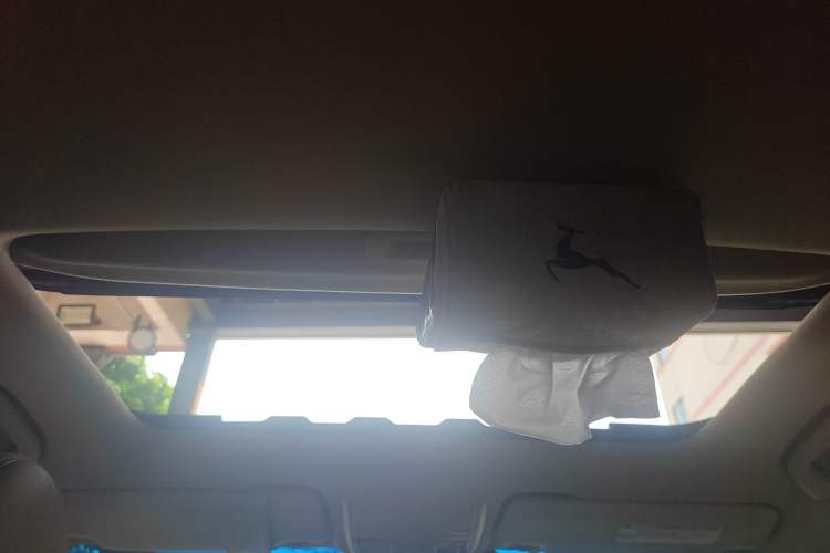 Used Honda Crosstour 2012 2.4L Luxury Edition Headliner