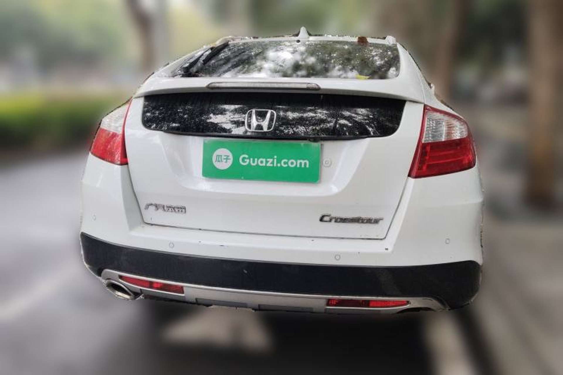 Used Honda Crosstour 2014 2.4L Luxury Edition Rear