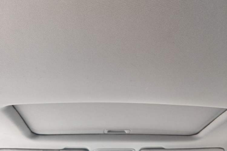 Used Honda Elysion 2012 2.4L VTi-S Prestige Edition Headliner