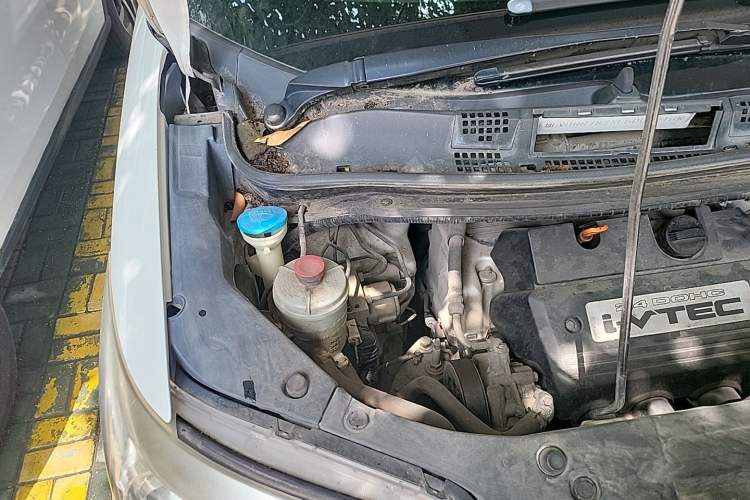 Used Honda Elysion 2012 2.4L VTi-S Prestige Edition Engine Bay Right