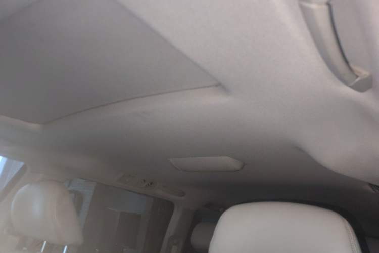 Used Honda Elysion 2015 2.4L VTi-S Prestige Edition Headliner