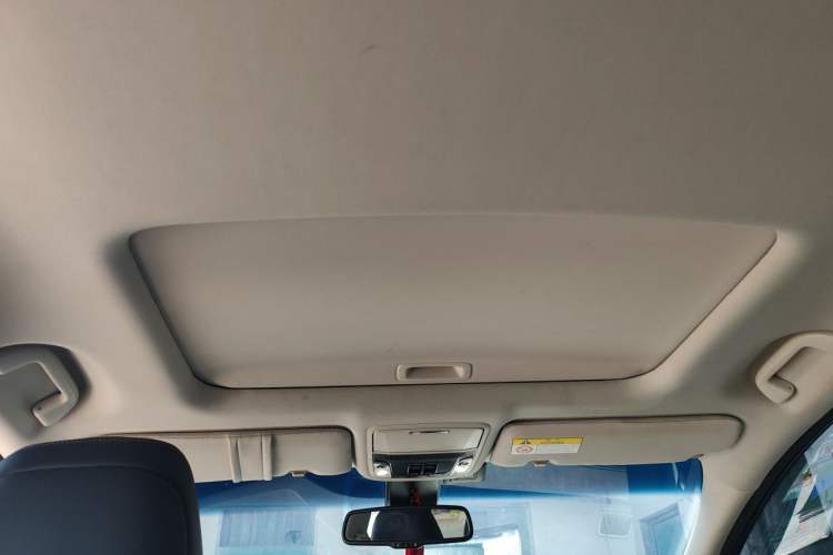 Used Honda Elysion 2016 2.4L Supreme Edition Headliner