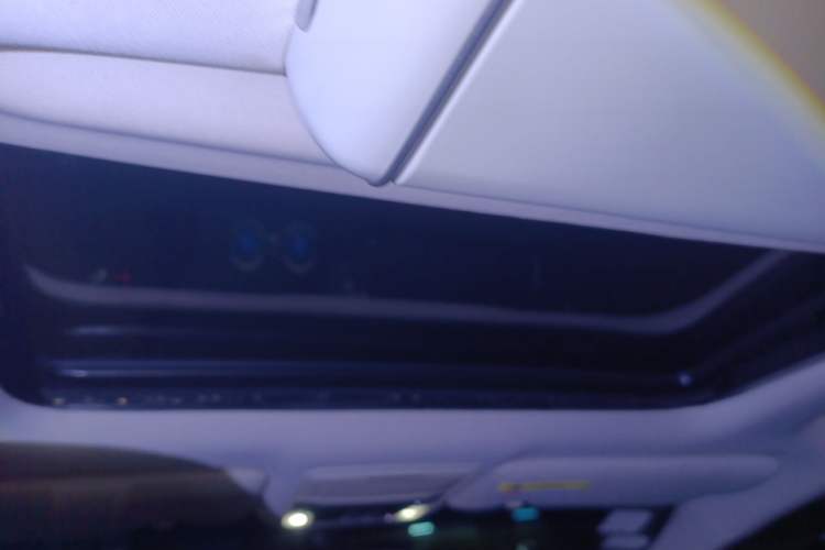 Used Honda Elysion 2016 2.4L Supreme Edition Headliner