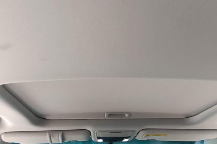 Used Honda Elysion 2016 2.4L Luxury Edition Headliner