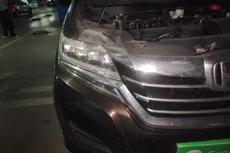 Used Honda Elysion 2016 2.4L Luxury Edition Exterior 6