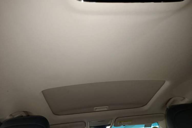 Used Honda Elysion 2016 2.4L Supreme Edition Headliner