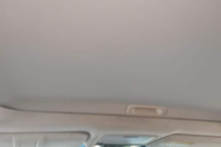 Used Honda Elysion 2016 2.4L Supreme Edition Headliner