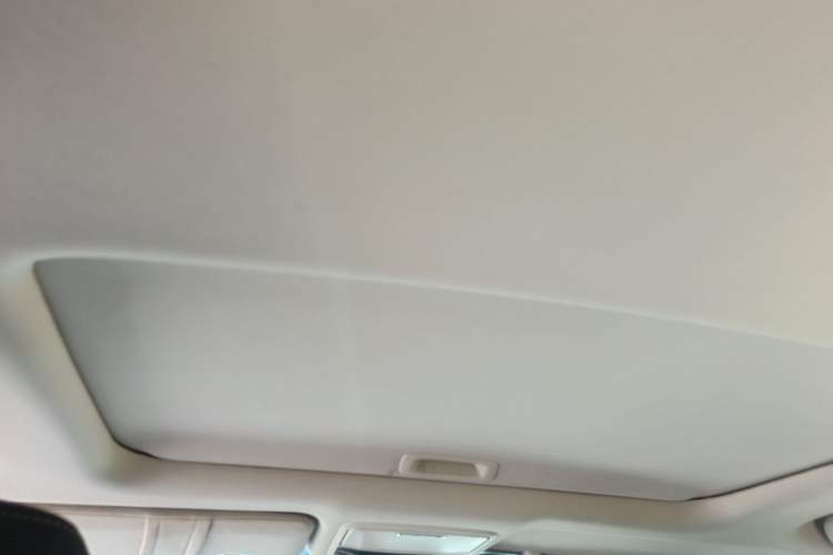 Used Honda Elysion 2016 2.4L Supreme Edition Headliner