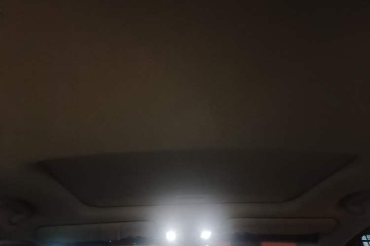 Used Honda Elysion 2016 2.4L Supreme Edition Headliner
