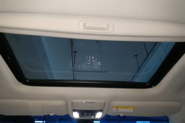 Used Honda Elysion 2016 2.4L Supreme Edition Headliner