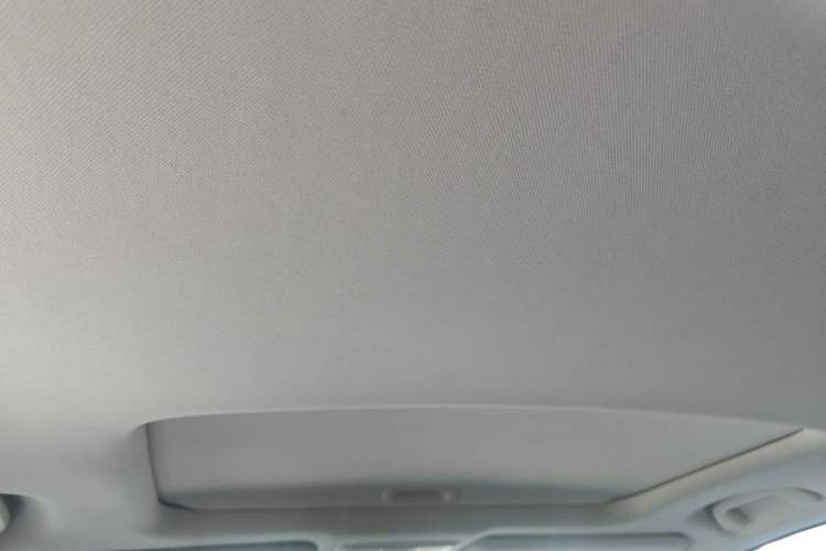 Used Honda Elysion 2016 2.4L Supreme Edition Headliner