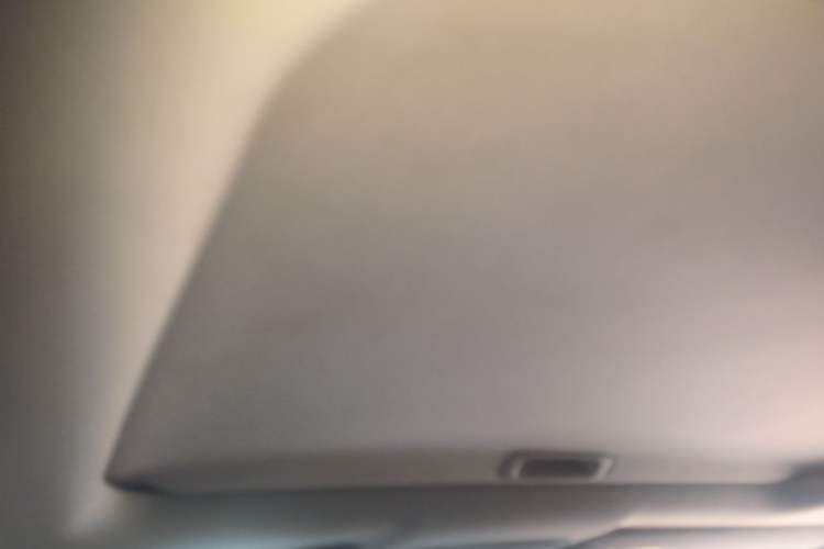 Used Honda Elysion 2016 2.4L Supreme Edition Headliner