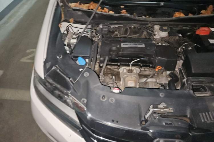 Used Honda Elysion 2016 2.4L Supreme Edition Engine Bay Right