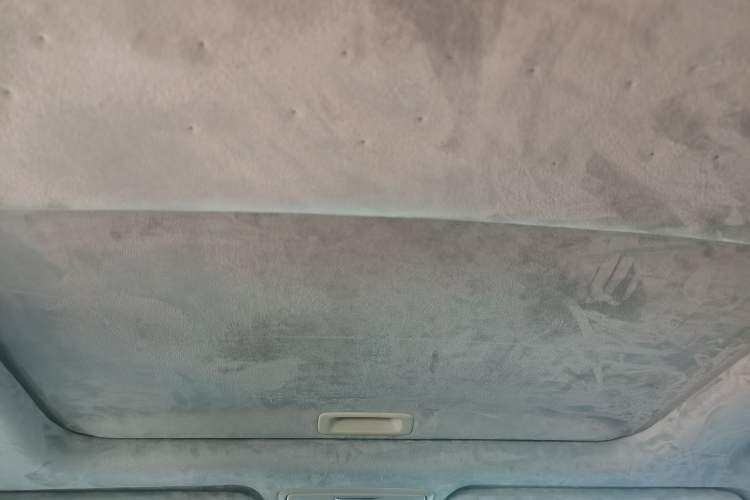 Used Honda Elysion 2016 2.4L Supreme Edition Headliner