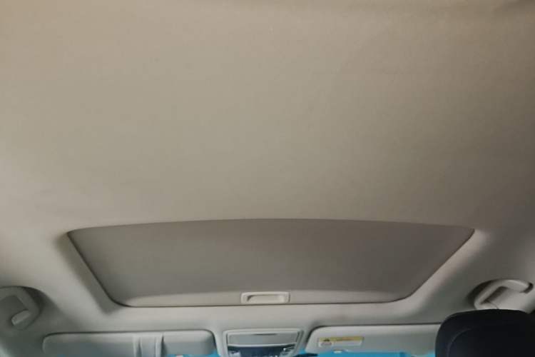 Used Honda Elysion 2016 2.4L Supreme Edition Headliner