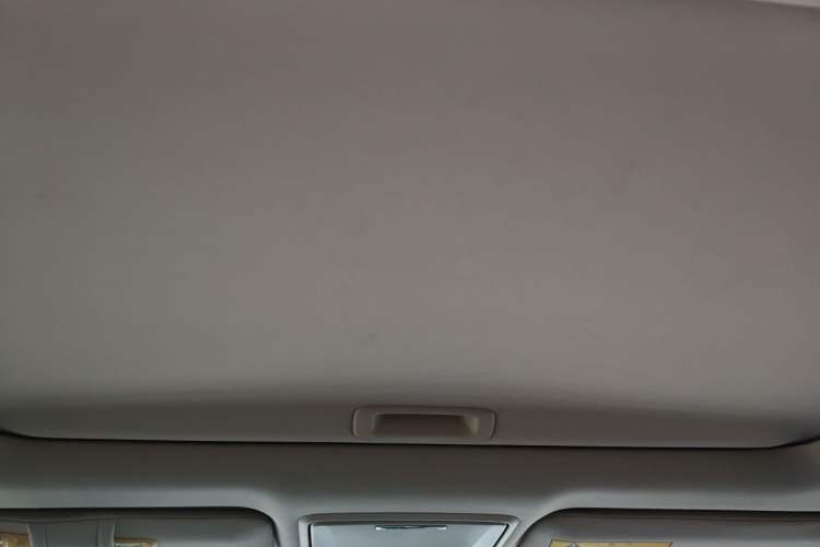 Used Honda Elysion 2016 2.4L Supreme Edition Headliner