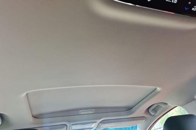 Used Honda Elysion 2016 2.4L Comfort Edition Headliner