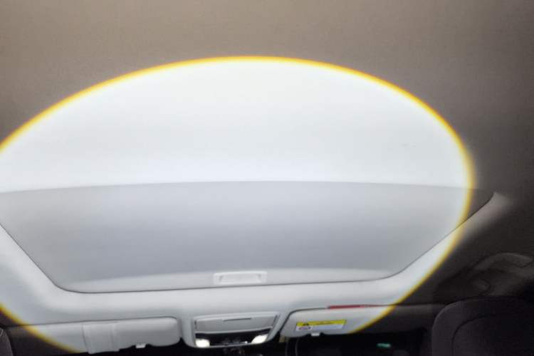 Used Honda Elysion 2016 2.4L Luxury Edition Headliner
