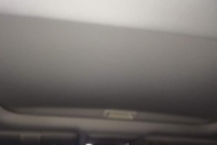 Used Honda Elysion 2016 2.4L Supreme Edition Headliner