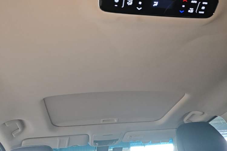 Used Honda Elysion 2016 2.4L Supreme Edition Headliner