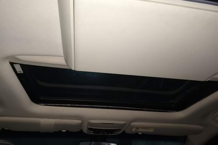 Used Honda Elysion 2016 2.4L Supreme Edition Headliner