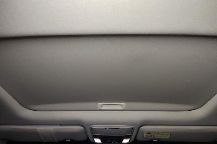 Used Honda Elysion 2016 2.4L Luxury Edition Headliner