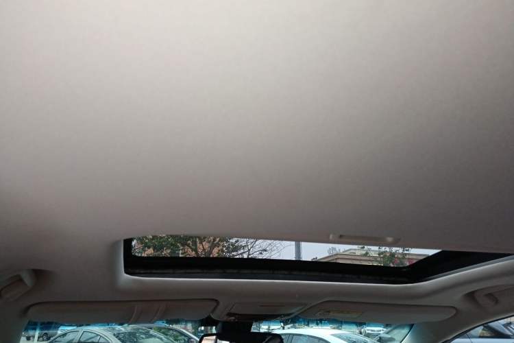 Used Honda Elysion 2016 2.4L Supreme Edition Headliner