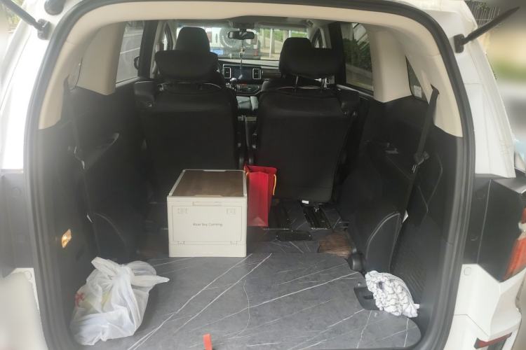 Used Honda Elysion 2016 2.4L Luxury Edition Trunk