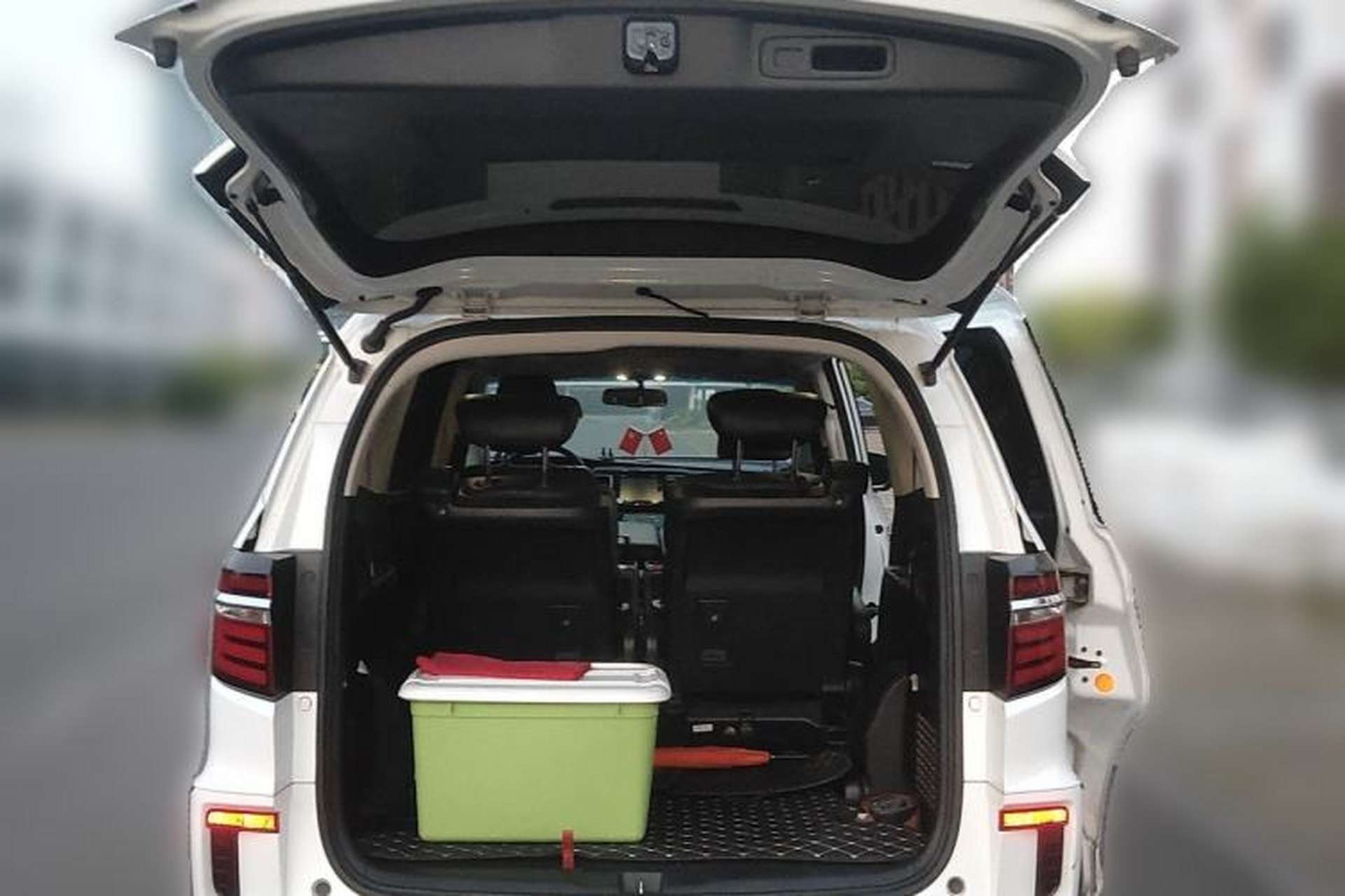 Used Honda Elysion 2016 2.4L Luxury Edition Trunk