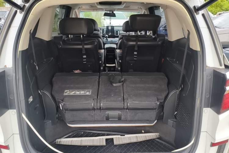 Used Honda Elysion 2016 2.4L Luxury Edition Trunk