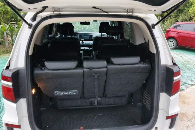 Used Honda Elysion 2016 2.4L Luxury Edition Trunk