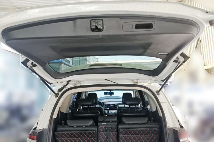 Used Honda Elysion 2016 2.4L Style Edition Trunk