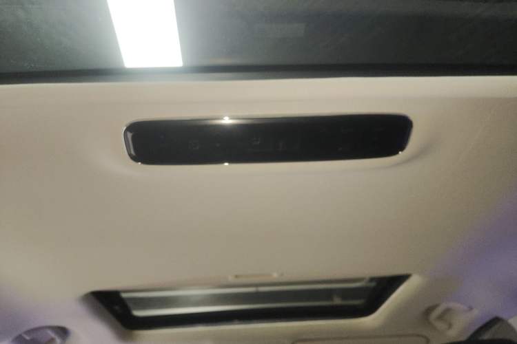 Used Honda Elysion 2019 2.0L Hybrid Comfort Edition Headliner