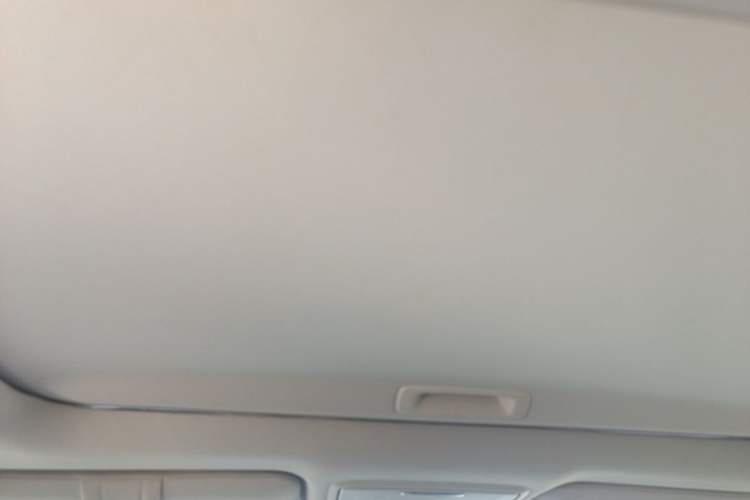 Used Honda Elysion 2019 2.0L Hybrid Comfort Edition Headliner