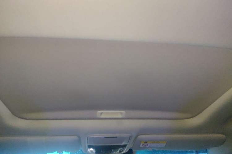 Used Honda Elysion 2019 2.0L Hybrid Luxury Edition Headliner