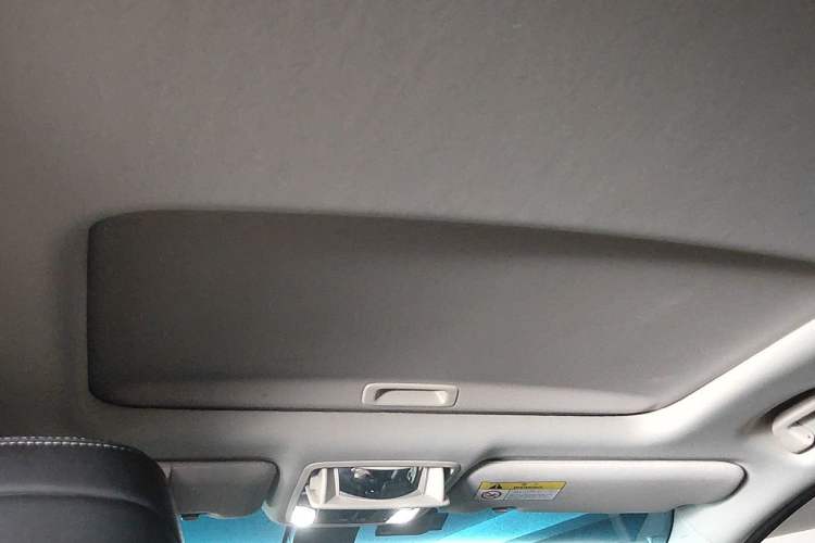 Used Honda Elysion 2019 2.0L Hybrid Supreme Edition Headliner