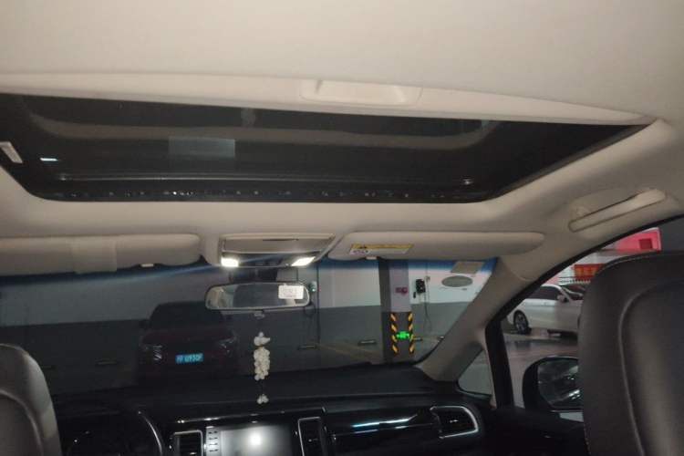 Used Honda Elysion 2019 2.0L Hybrid Luxury Edition Headliner