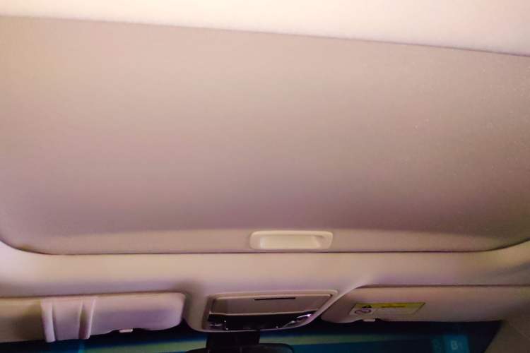 Used Honda Elysion 2019 2.0L Hybrid Luxury Edition Headliner