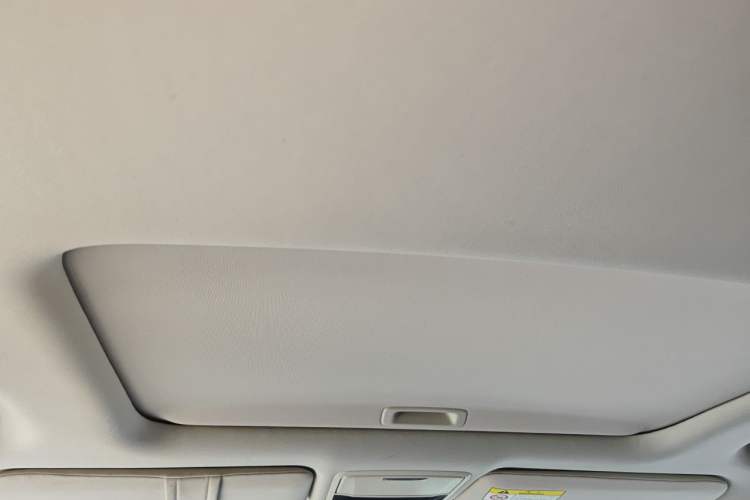 Used Honda Elysion 2019 2.0L Hybrid Luxury Edition Headliner