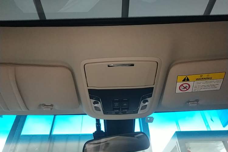 Used Honda Elysion 2019 2.0L Hybrid Luxury Edition Headliner