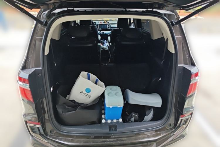 Used Honda Elysion 2019 2.0L Hybrid Luxury Edition Trunk