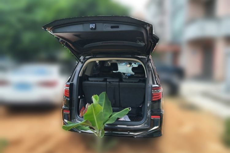 Used Honda Elysion 2019 2.0L Hybrid Luxury Edition Trunk