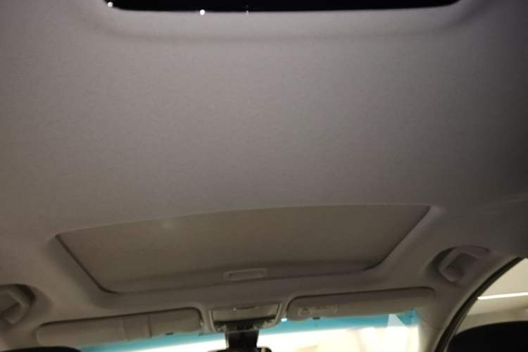 Used Honda Elysion 2019 2.0L Hybrid Luxury Edition Headliner