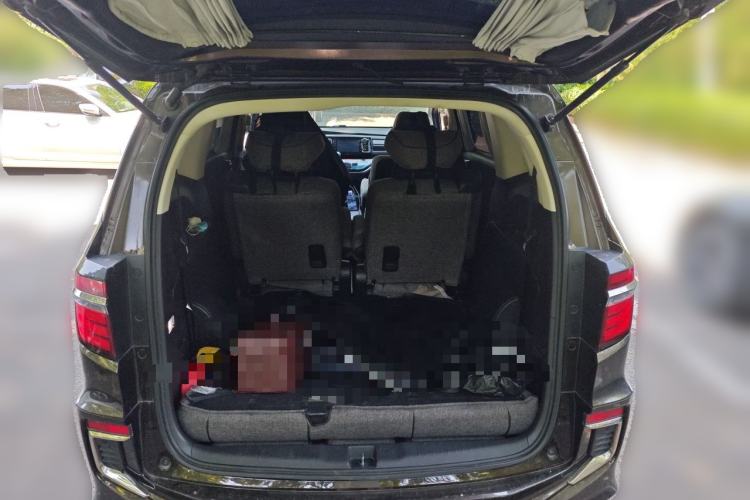 Used Honda Elysion 2019 2.0L Hybrid Comfort Edition Trunk