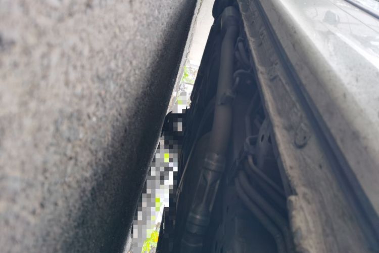Used Honda Elysion 2019 2.0L Hybrid Luxury Edition Chassis Front Right