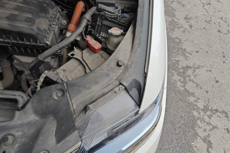 Used Honda Elysion 2019 2.0L Hybrid Luxury Edition Engine Bay Left