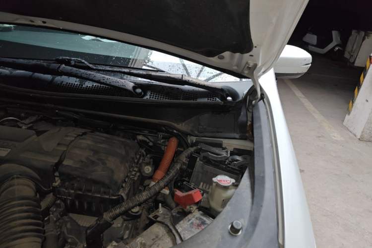 Used Honda Elysion 2019 2.0L Hybrid Luxury Edition Engine Bay Left