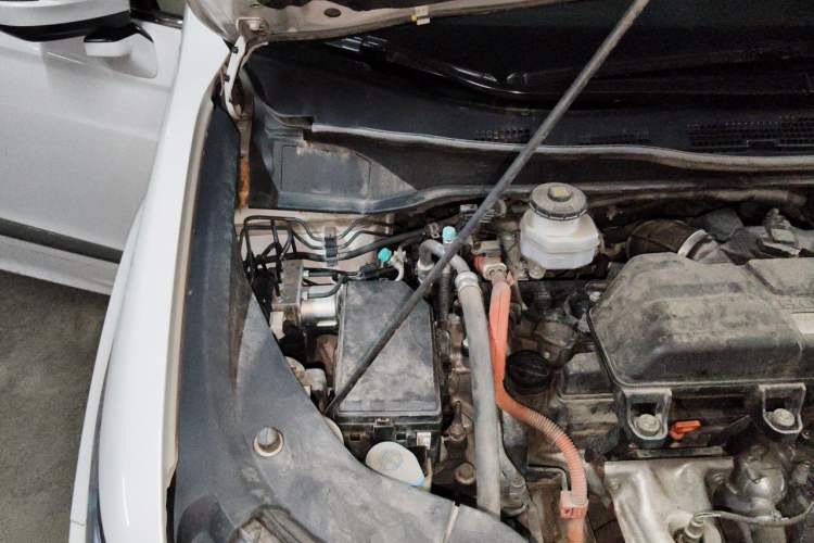 Used Honda Elysion 2019 2.0L Hybrid Luxury Edition Engine Bay Right