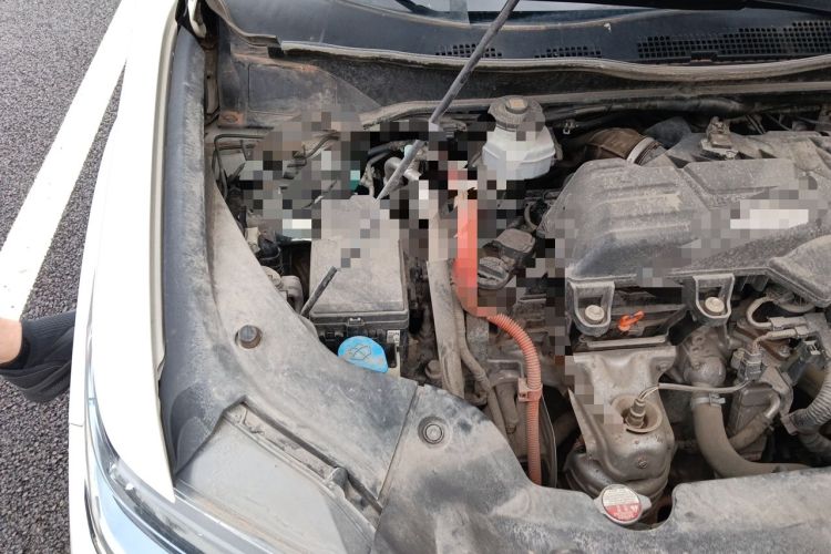 Used Honda Elysion 2019 2.0L Hybrid Supreme Edition Engine Bay Right