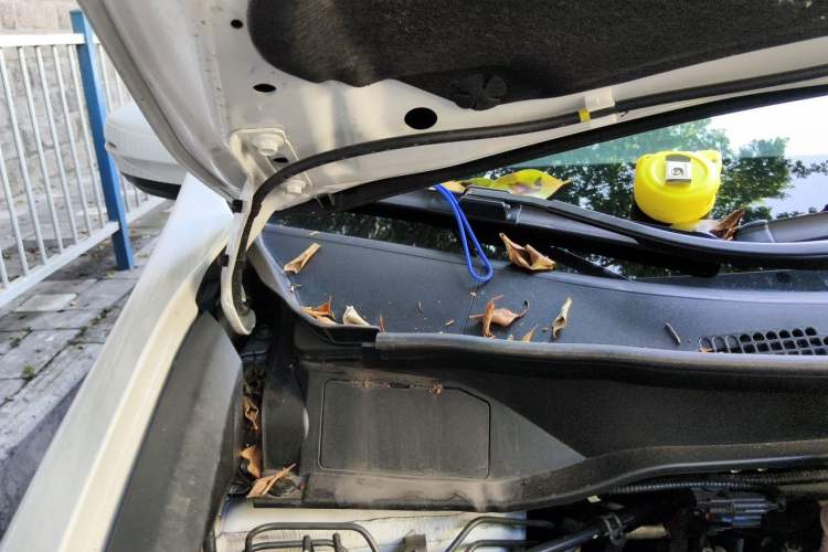 Used Honda Elysion 2019 2.0L Hybrid Luxury Edition Engine Bay Right